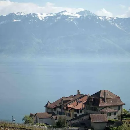 In On Edge Of Woods With River * Lausanne