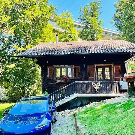 In On Edge Of Woods With River Шале Лозанна