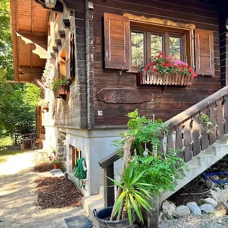 Chalet In On Edge Of Woods With River Lausanne