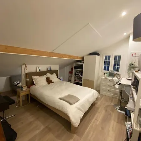 Chalet In On Edge Of Woods With River *