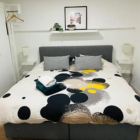 In On Edge Of Woods With River Шале Лозанна