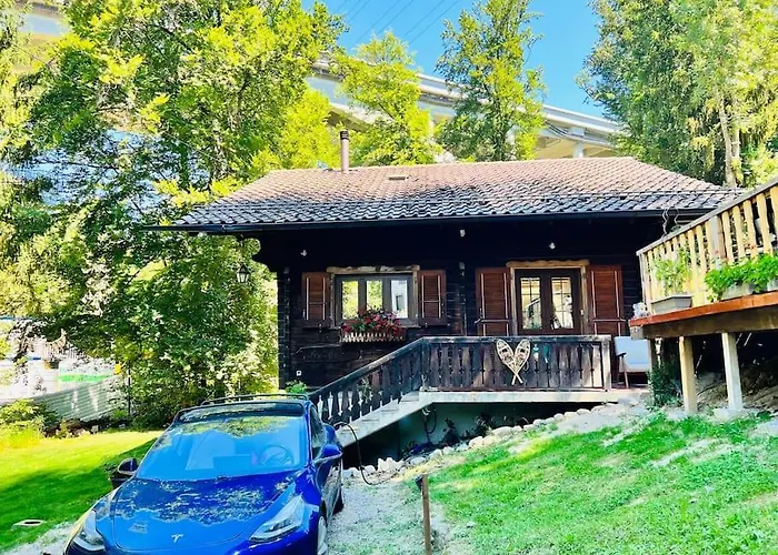 In On Edge Of Woods With River Шале Лозанна