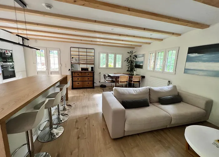 In On Edge Of Woods With River